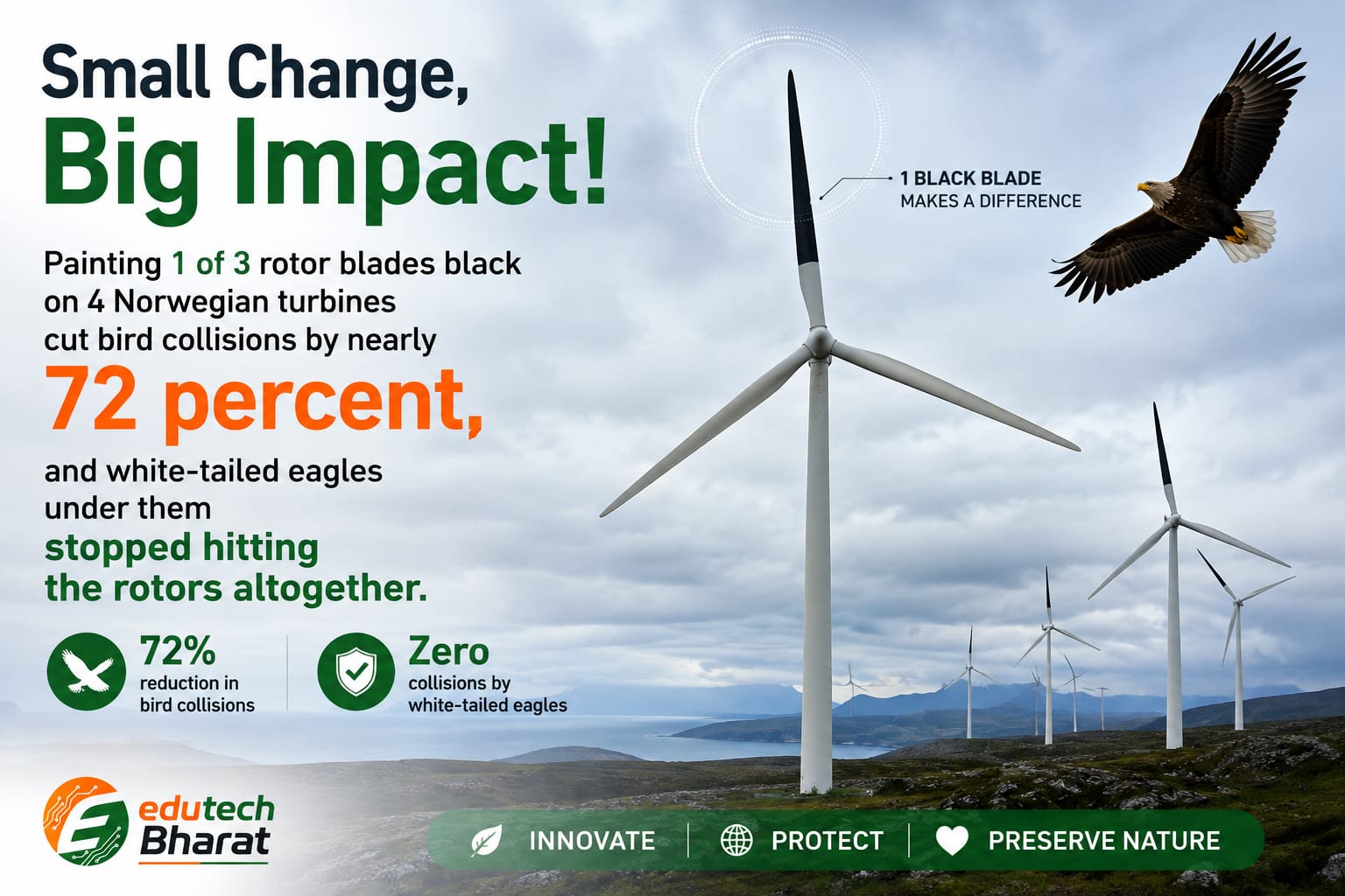 Wind Turbine Bird Collision: काले ब्लेड से 72% घटी पक्षियों की मौत, नॉर्वे के वैज्ञानिकों का सफल प्रयोग